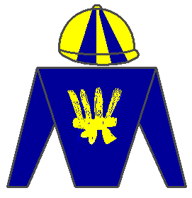 Jóquei