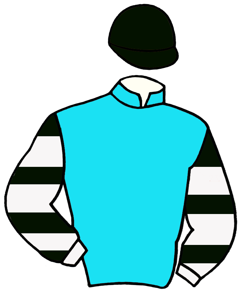 Jóquei