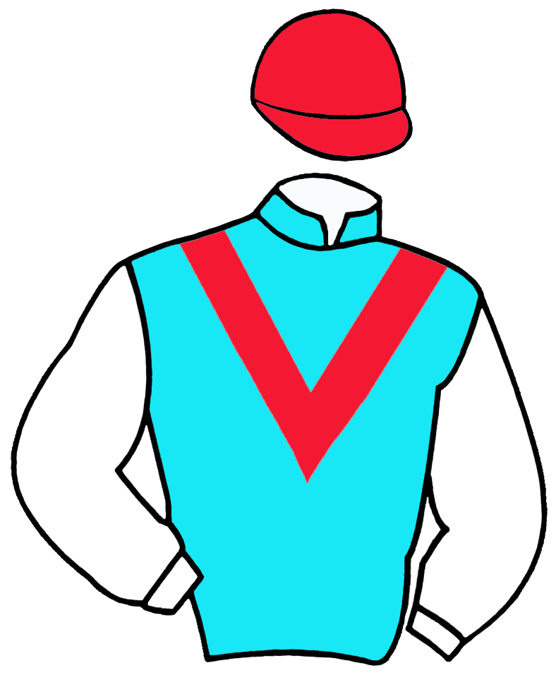 Jóquei